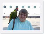 P1060721 * Parrot on my shoulder, I think it is an Amazon parrot * 2048 x 1536 * (432KB)